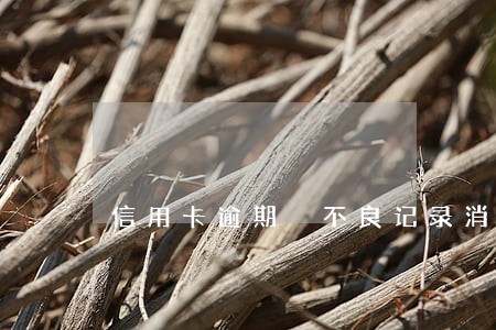 信用卡逾期 不良记录消除 信用卡逾期 不良记录消除